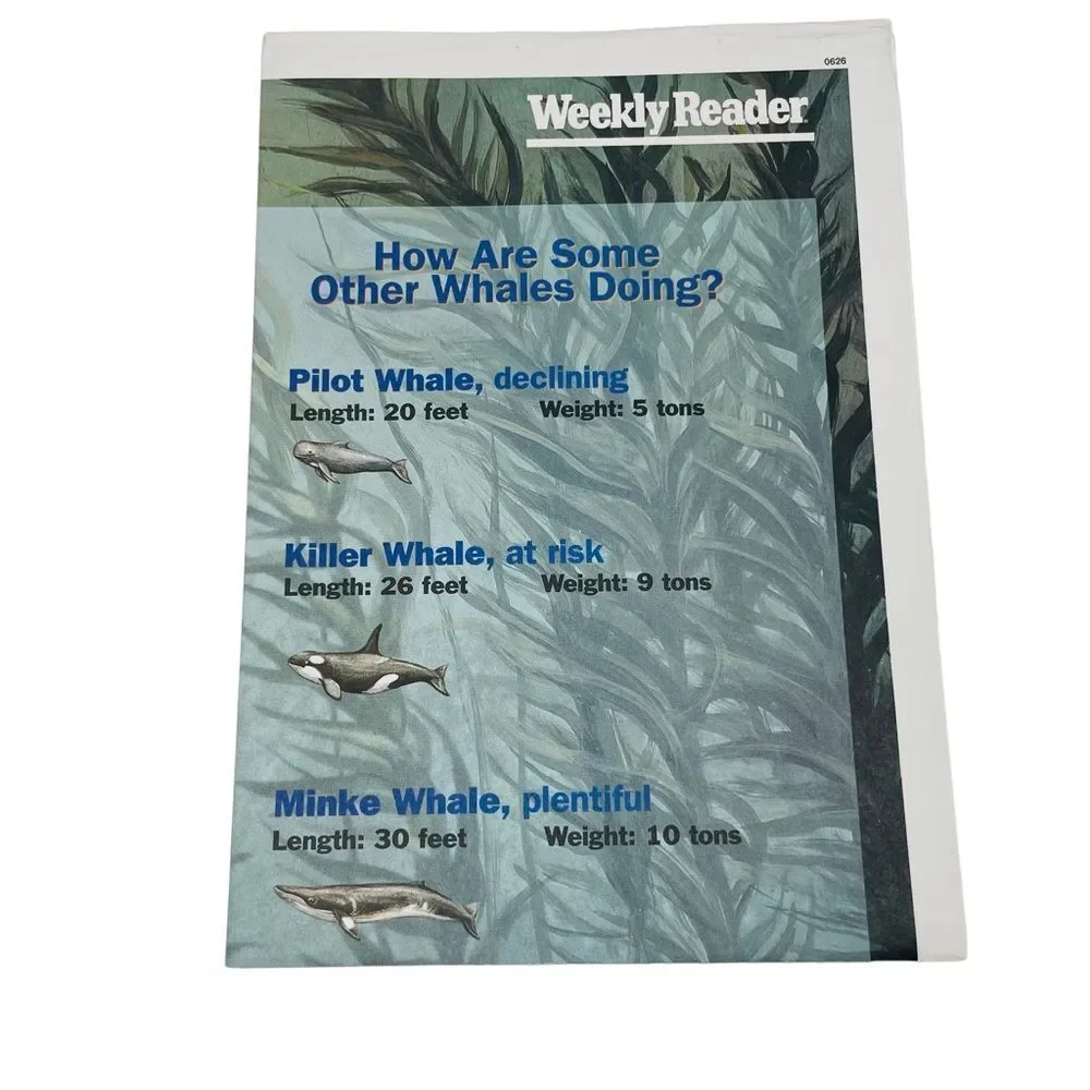 Vintage Weekly Reader Summer Superskills Reading Kit